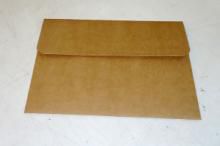 Pasta Envelope Kraft - ECO15